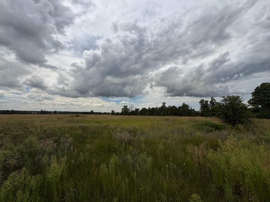 0 Bedroom Property for Sale in Vaalpark Free State